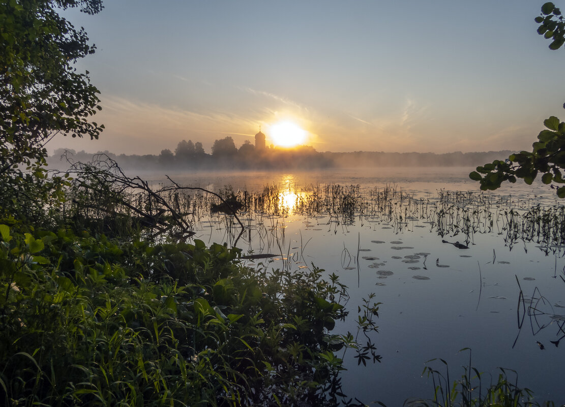 Восход с заросшего берега - Сергей Цветков