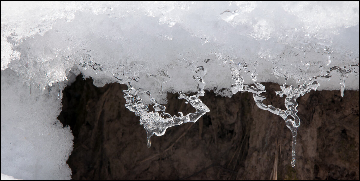 Март - **** vedin