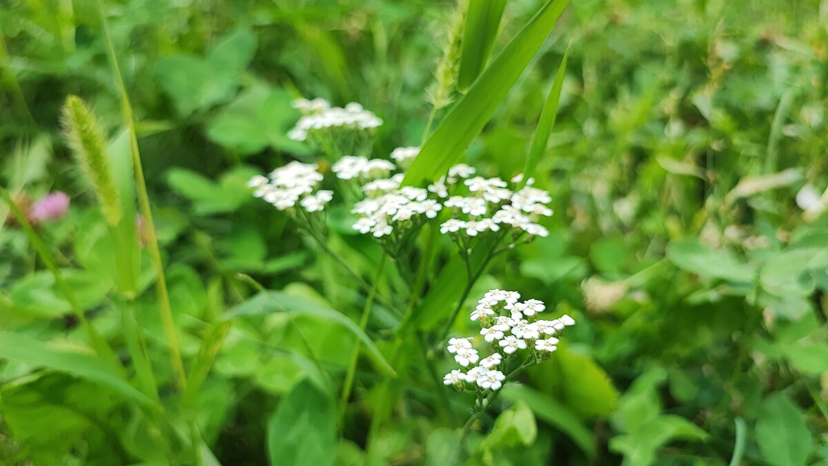 ,,, - Сергей Тимоновский