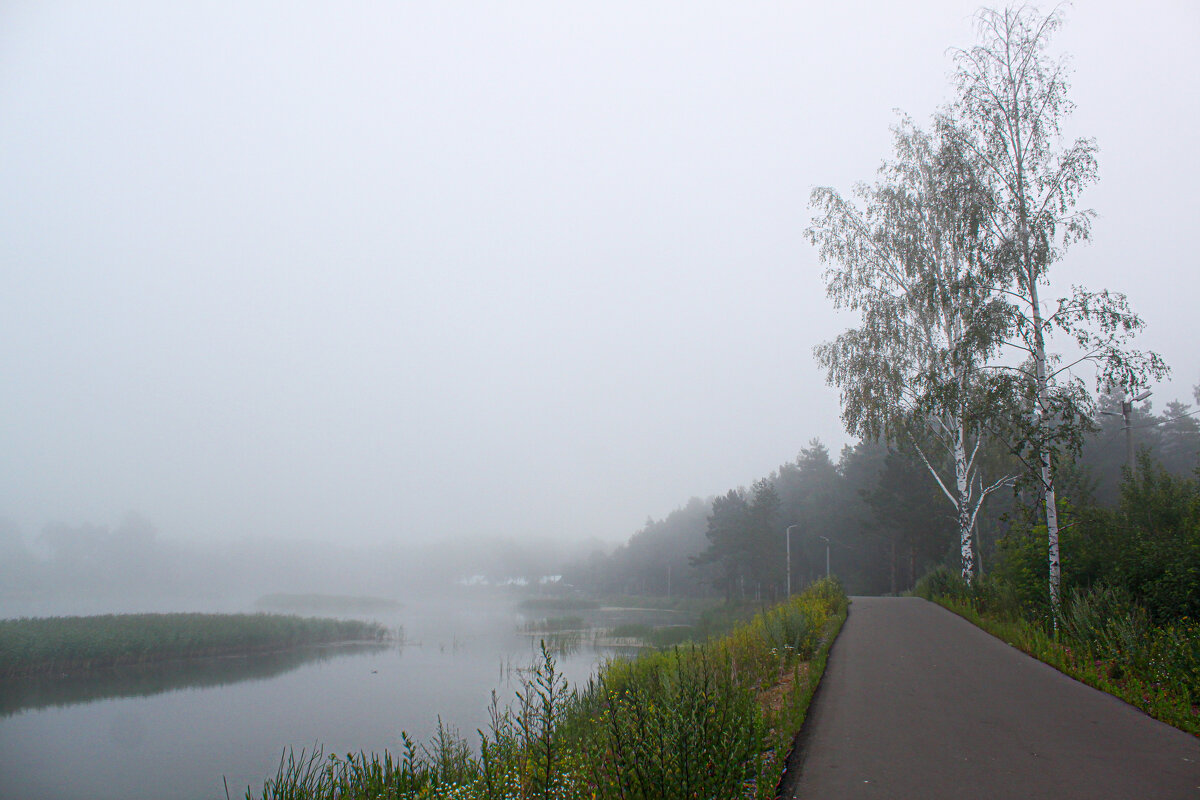 утро - Владимир Зеленцов