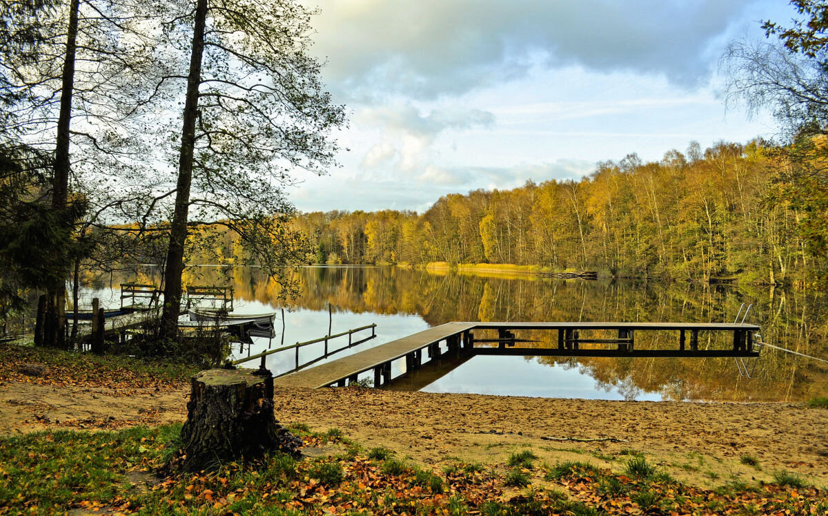 Осенняя элегия - Галина Шеина-Мюльдорфер