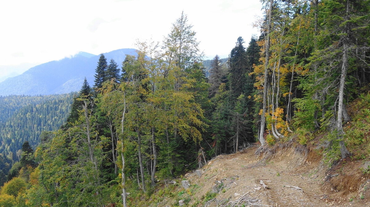 Кавказские горы - Рита Симонова