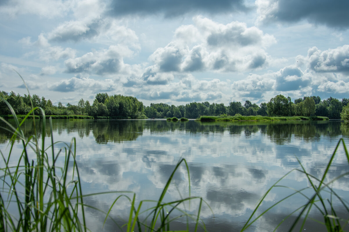*** - Николай Чекалин