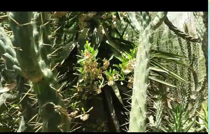 112 (238) - СТРЕН 