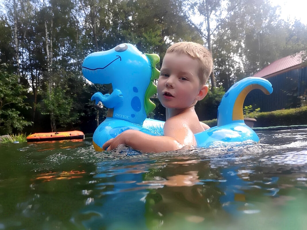 Последний заплыв. - Ольга Довженко Последний заплыв. - Ольга Довженко