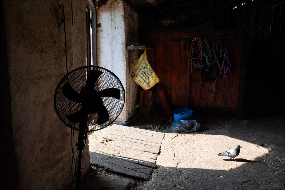 *** - Валерий Михмель *** - Валерий Михмель