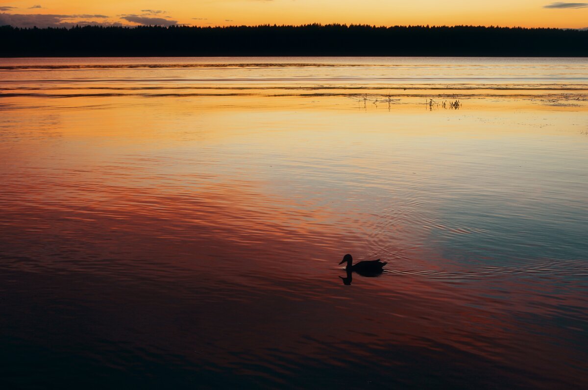Вечерняя река... - Марина 