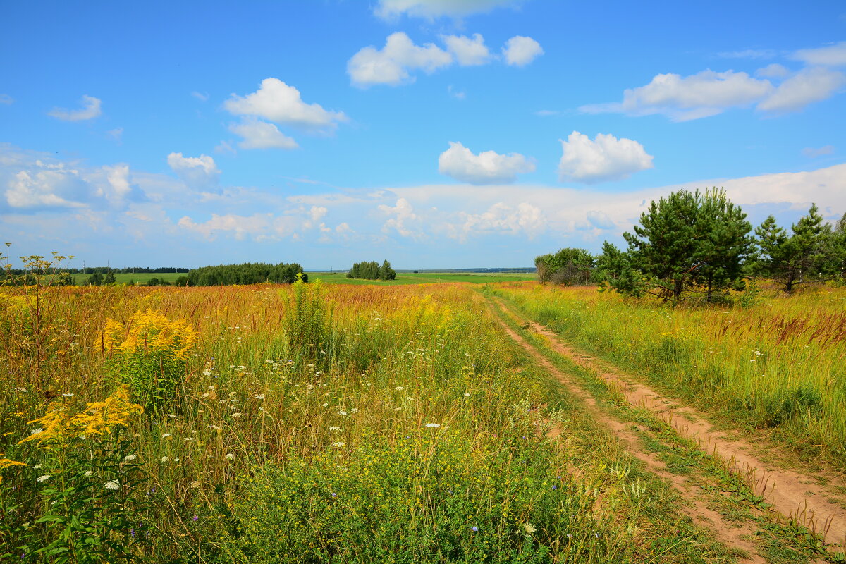 Уходящее лето. - Михаил Колосов 
