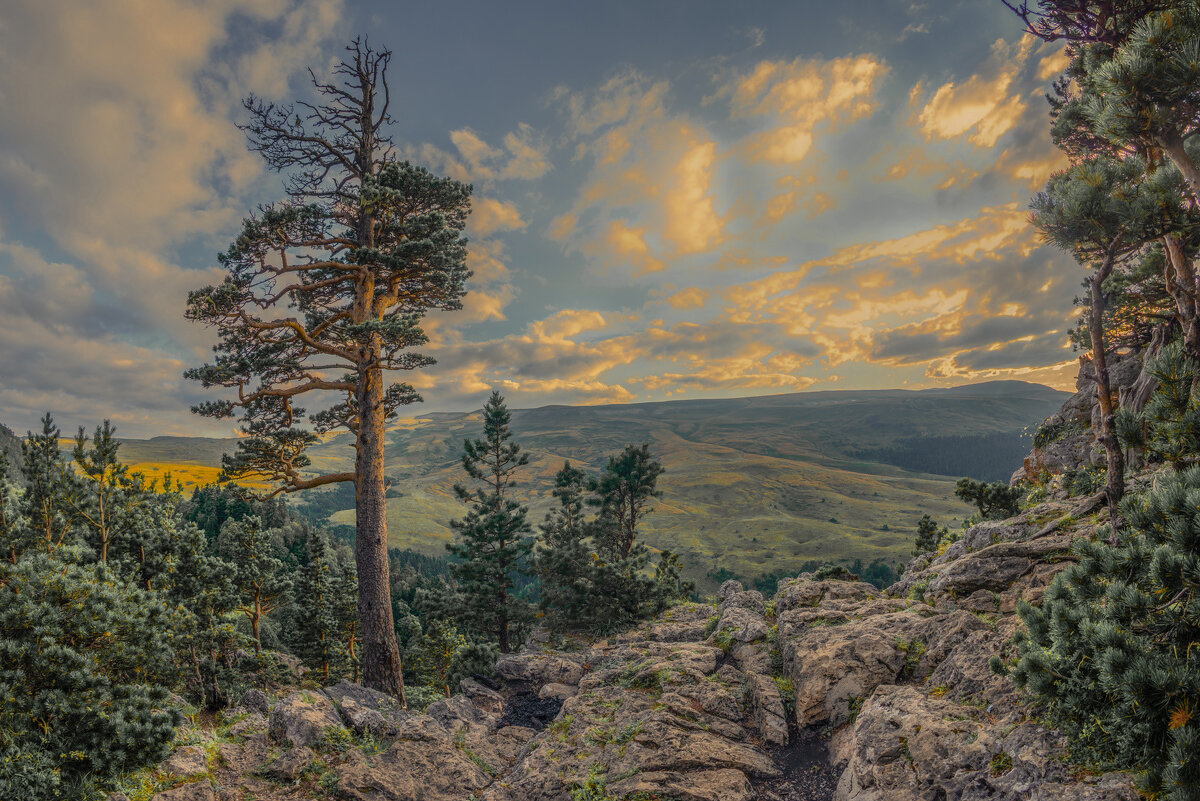 *** - Аnatoly Gaponenko *** - Аnatoly Gaponenko