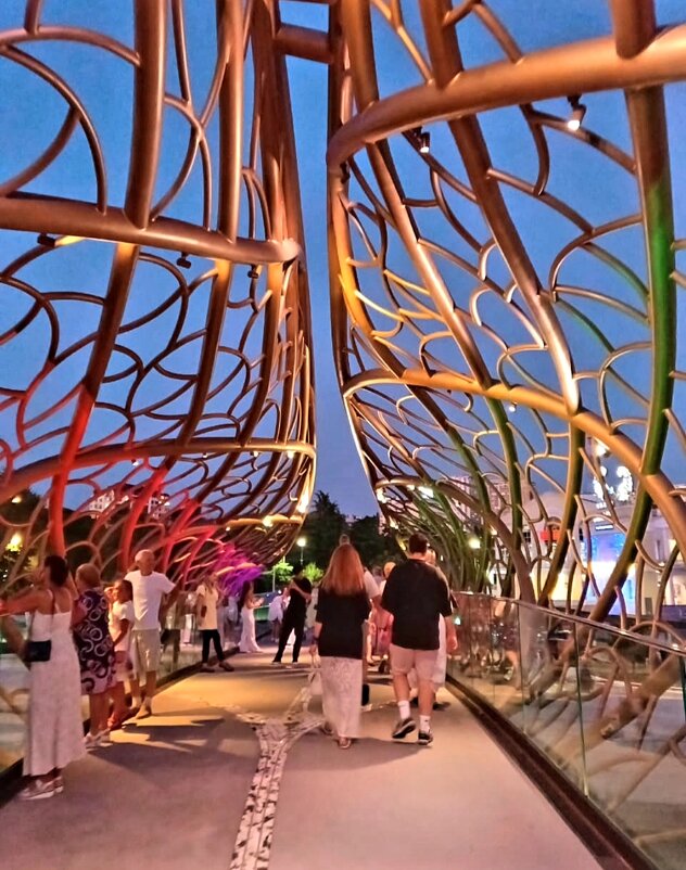 Мост «Волшебный лист» - Tata Wolf