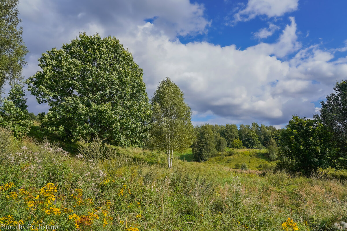 Палитра августа... - Владимир Жданов