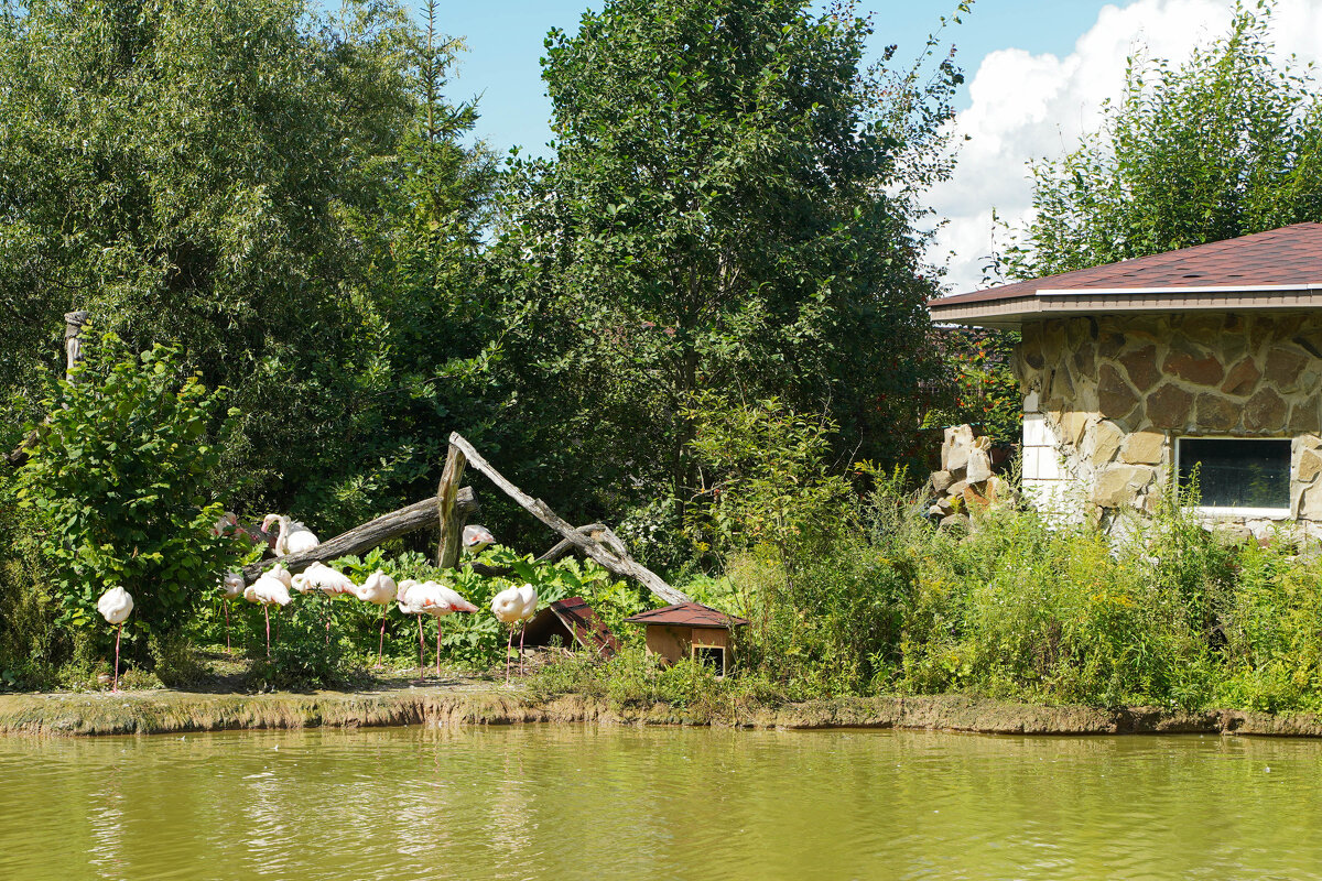 НА_ПОБЕРЕЖЬЕ - Сергей Янович Микк