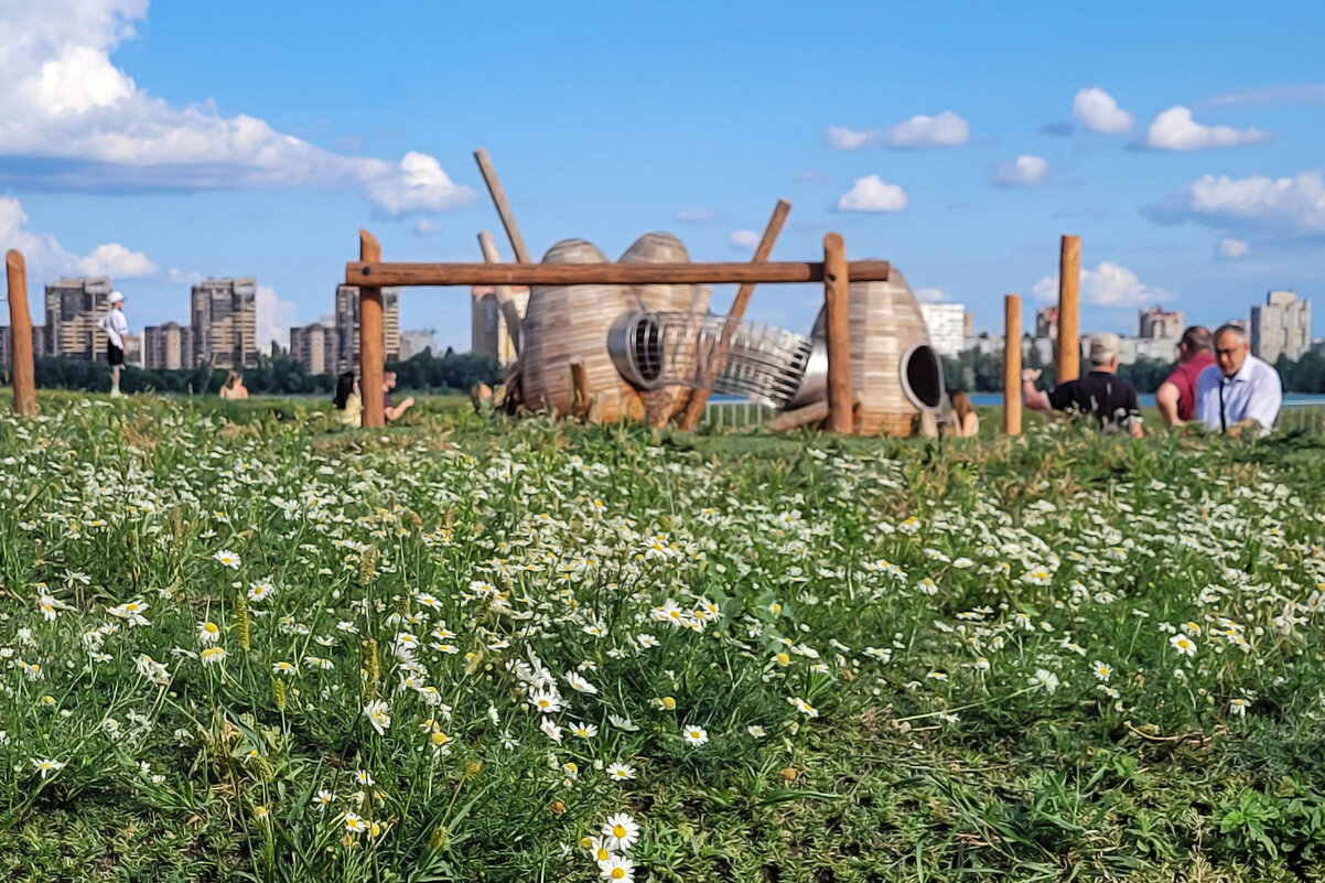 За ромашковой полянкой город, небо, облака... - Татьяна Машошина