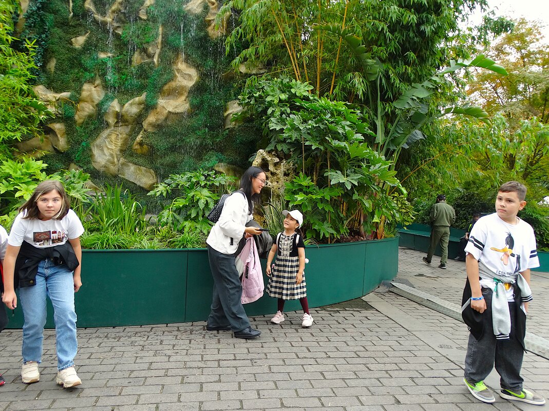 Из жизни прохожих - svk *