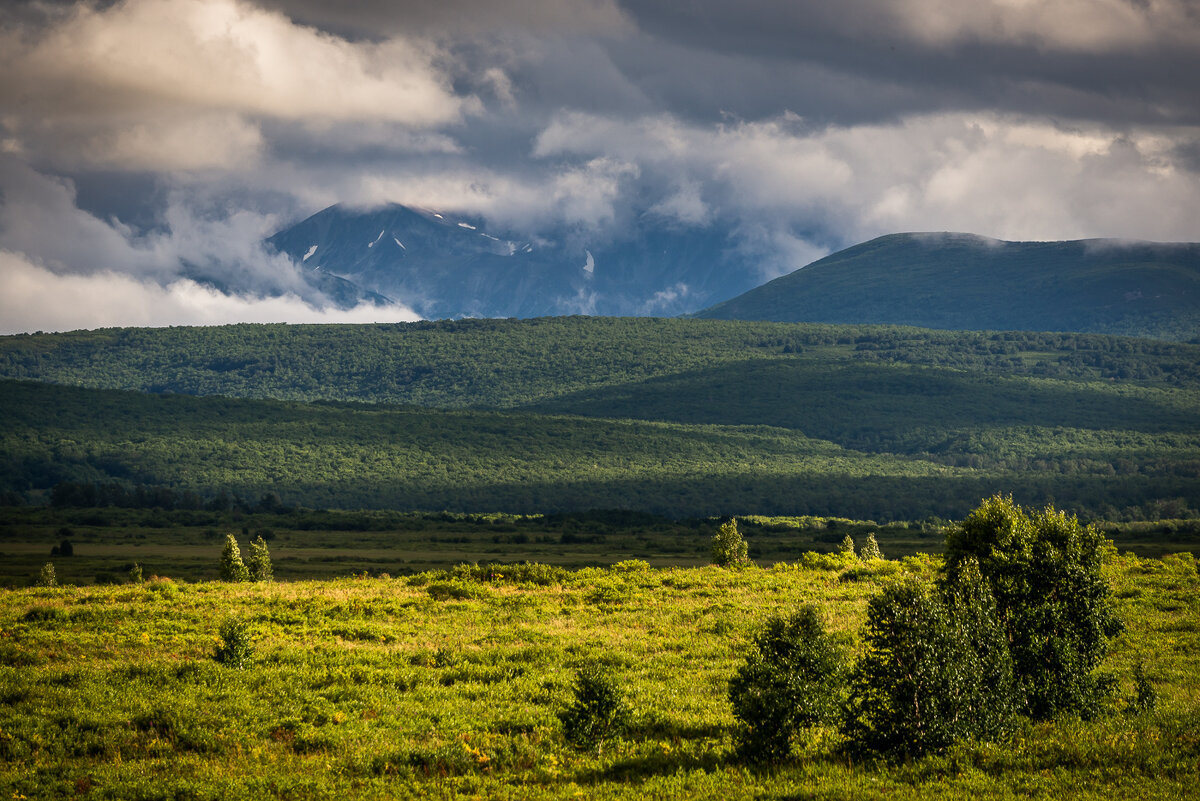 ... - Жора Житников