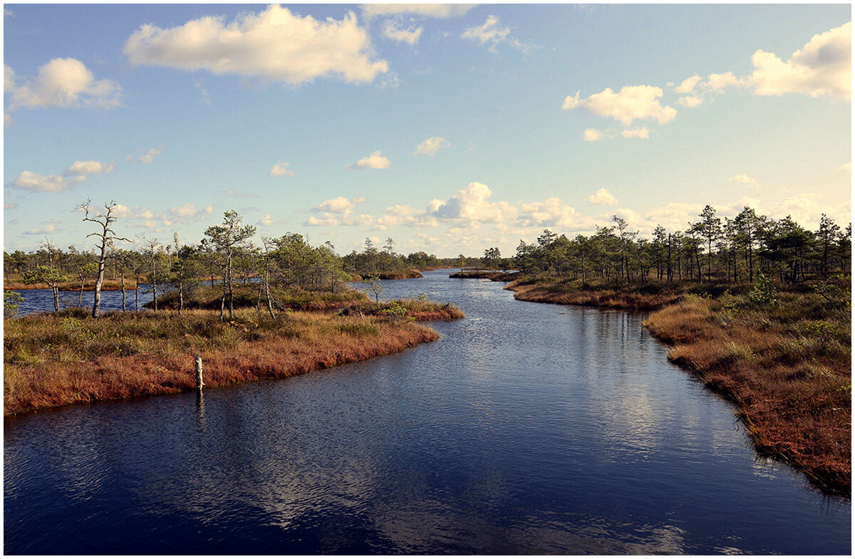 ...гляжу в озера синии... - Aleksandr Gal