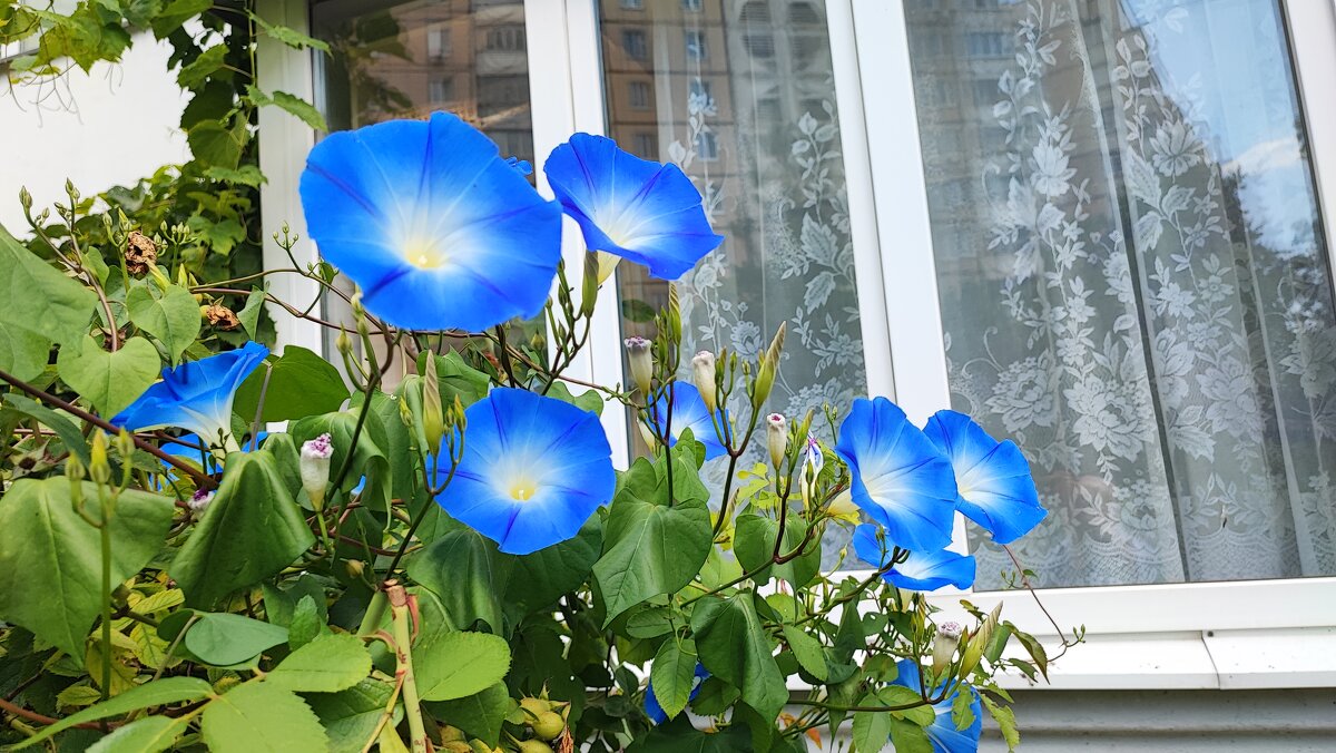 ,,, - Сергей Тимоновский