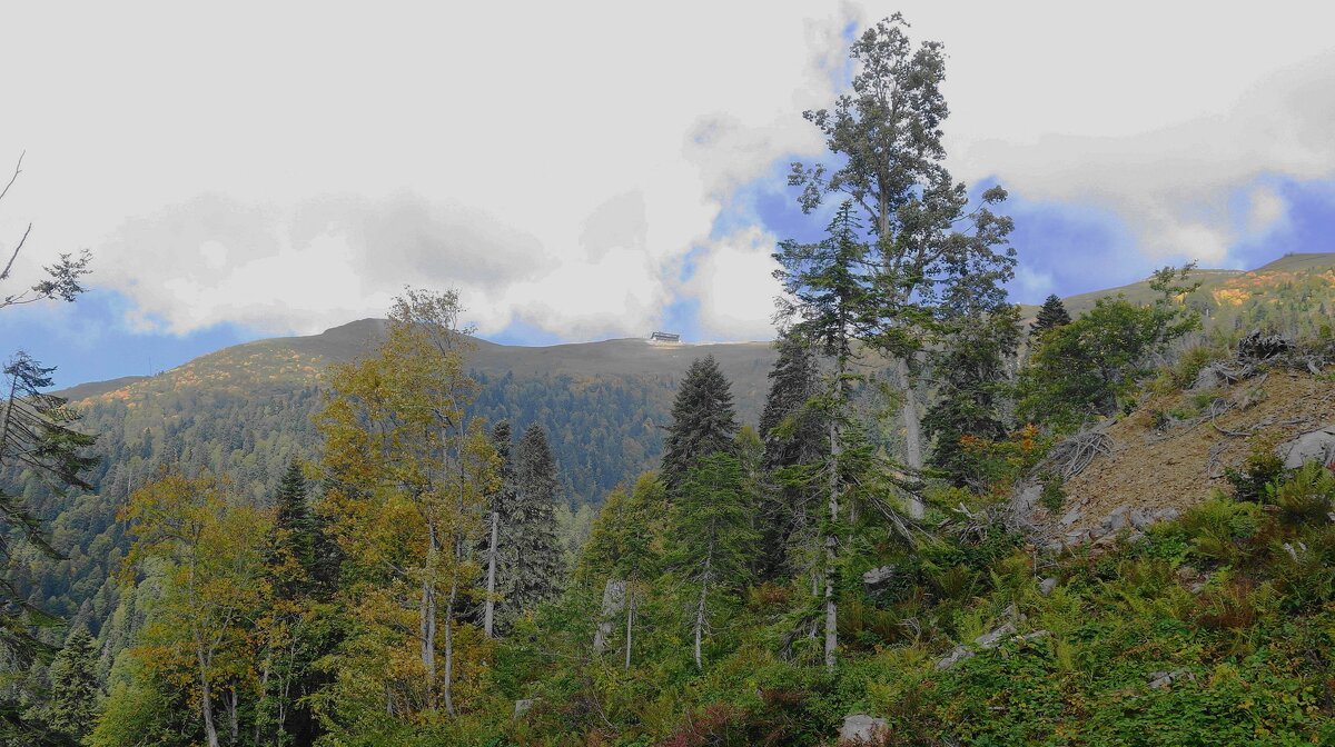 Кавказские горы - Рита Симонова