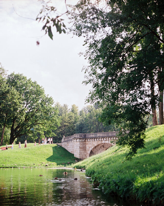 Гатчинский парк - Виталий Потапкин