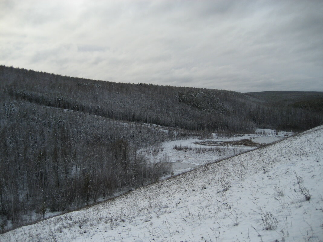 В лесу - Anna Ivanova