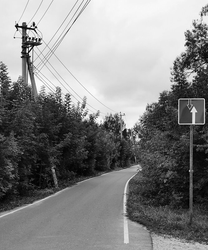 Дорожные знаки - Любимова Ольга 