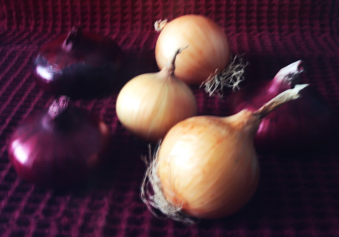 94 - Василий Палий