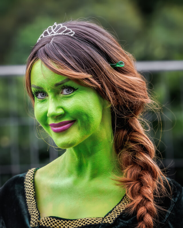 Про Питер - Владимир Колесников