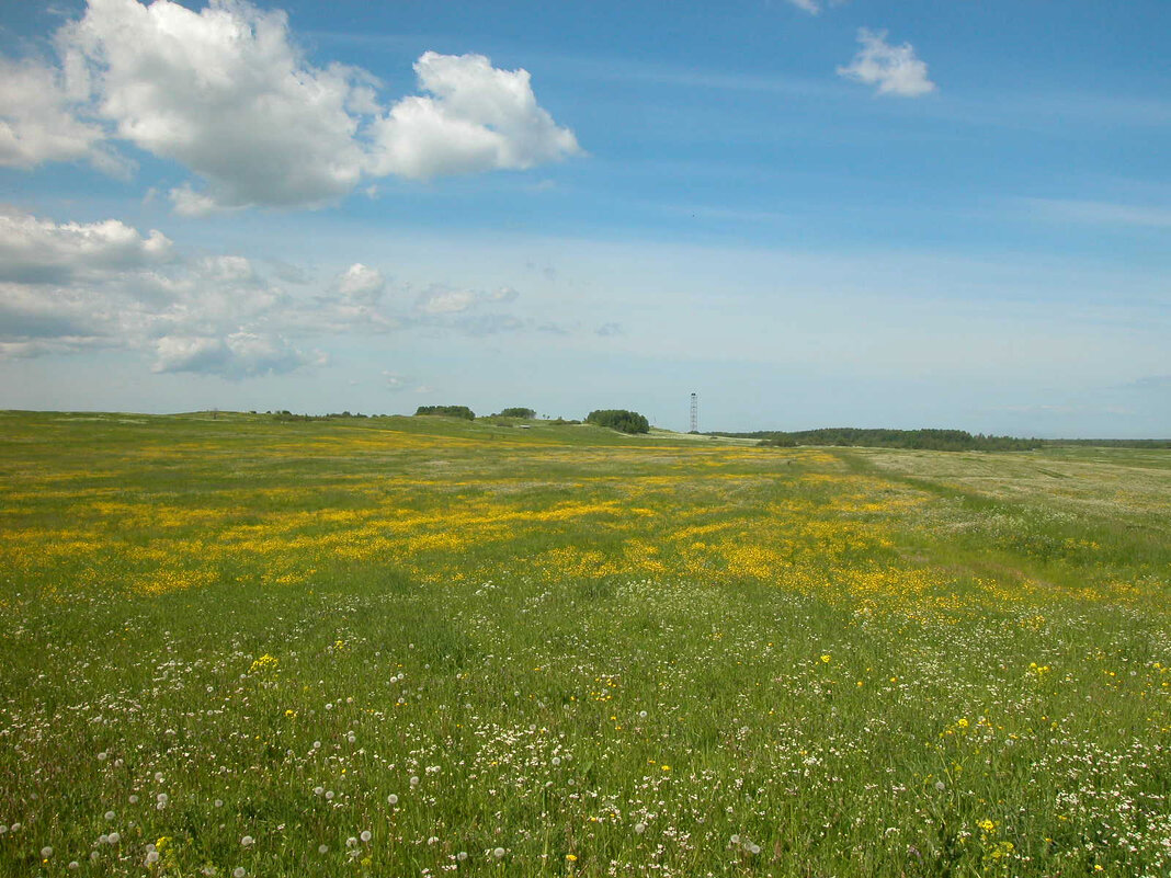 Краски лета. - Наталья Лунева 