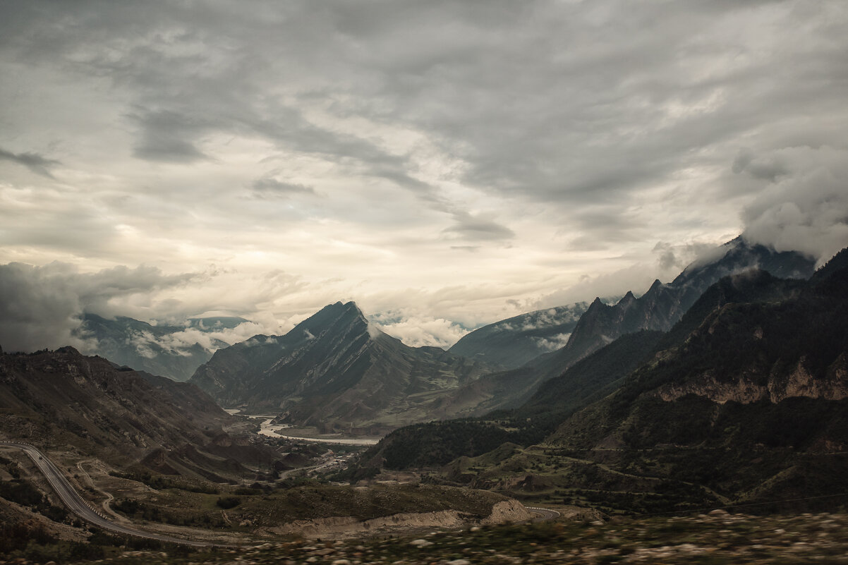 В горах - Лилия . В горах - Лилия .