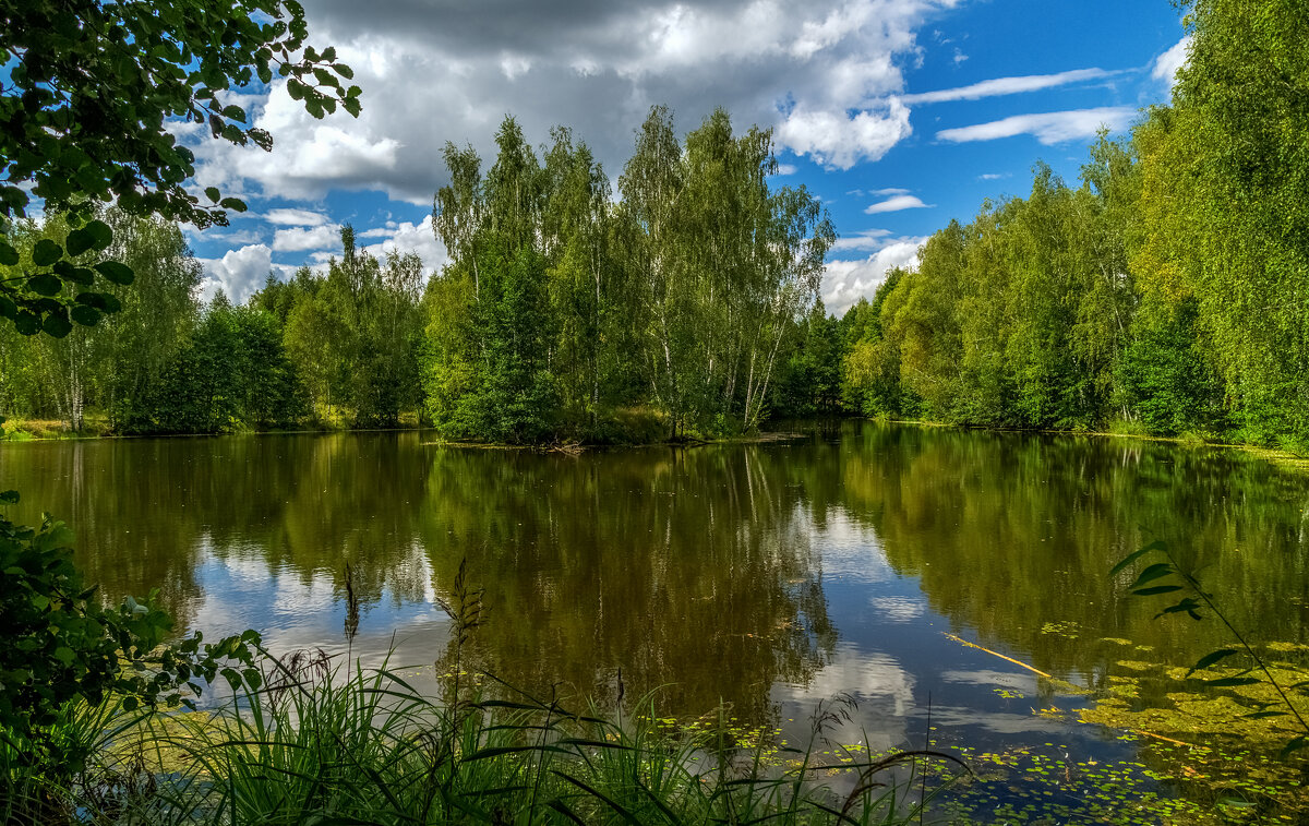 Вторая половина Августа 8 - Андрей Дворников