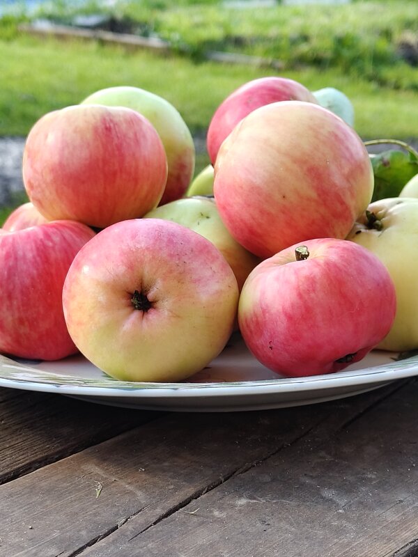 Вкусное лето) - Андрей 