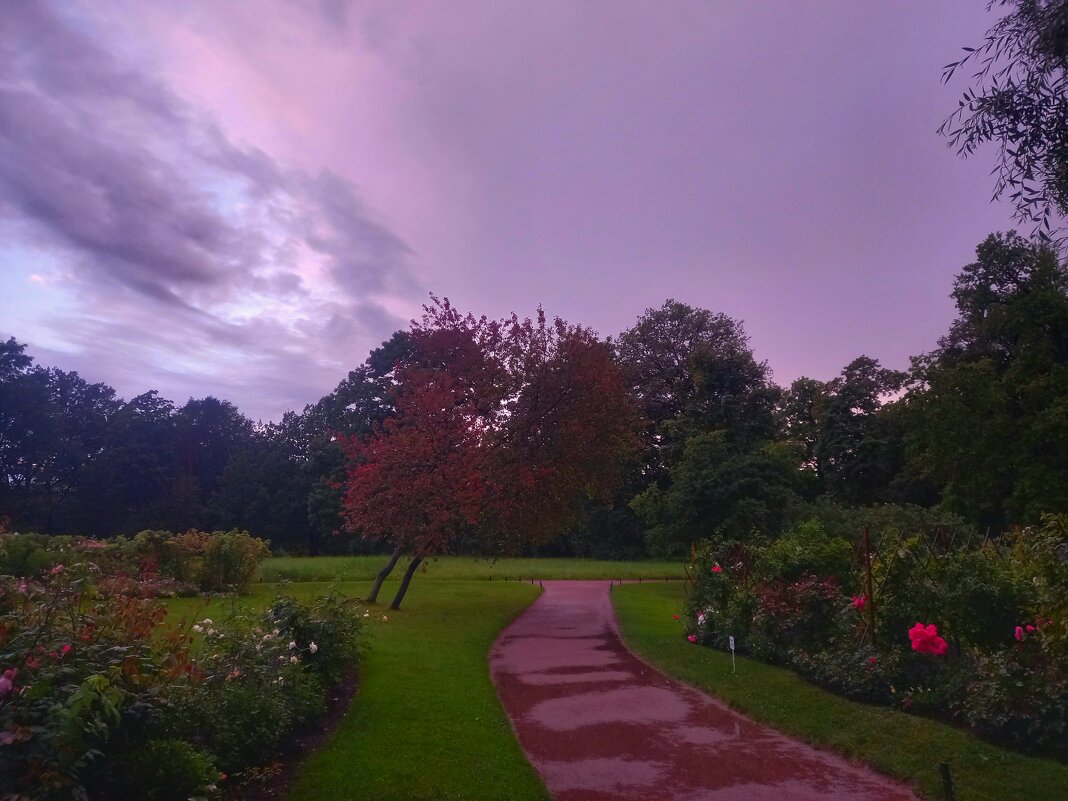 Закат - Сапсан 