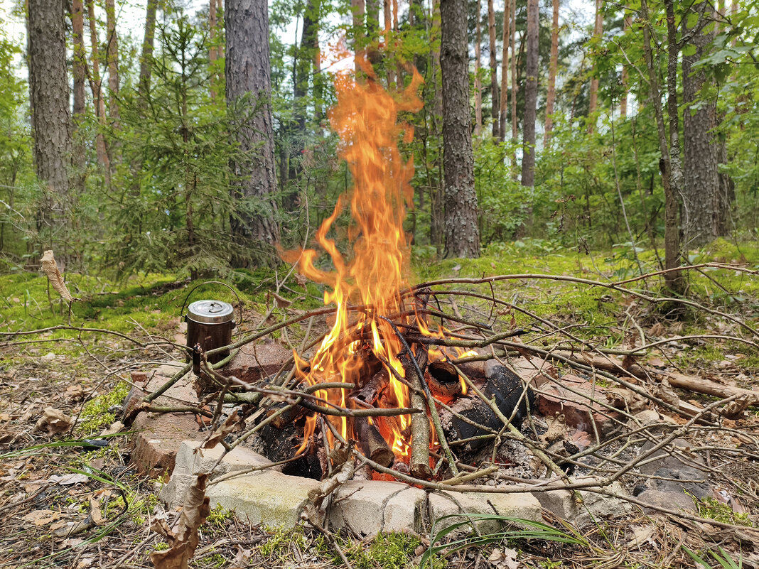 *** - Денис Бочкарёв