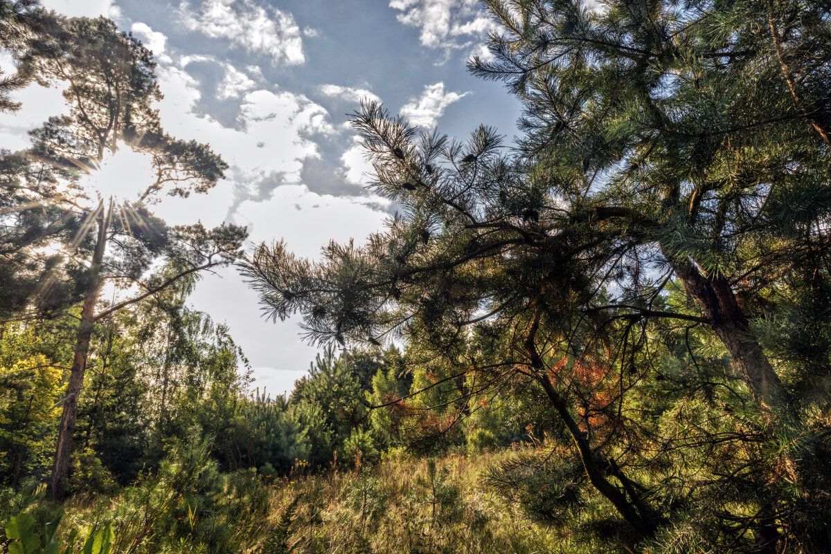 Лучевое освещение - sorovey Sol