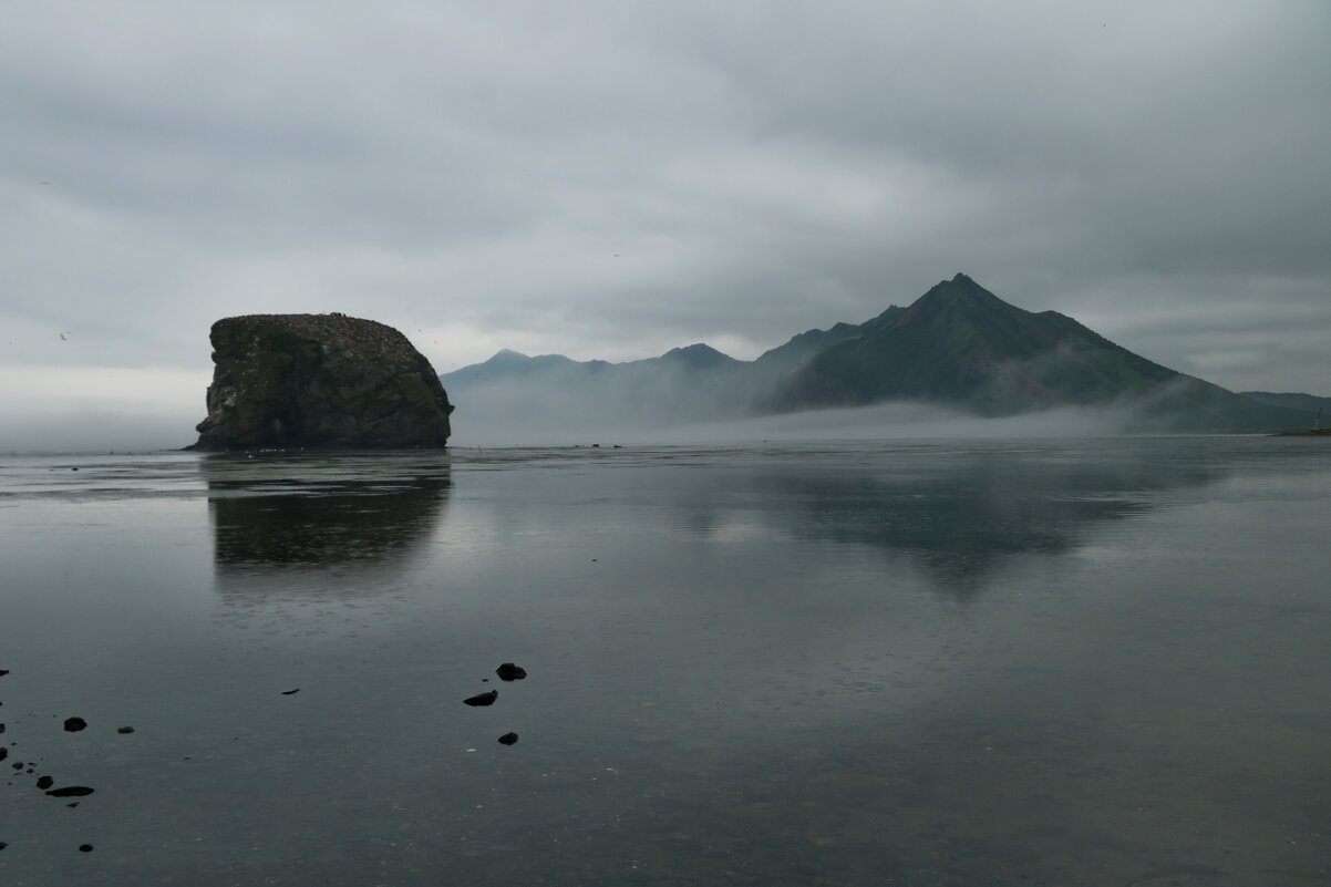 Туман и дождь в бухте Тихая. - Ирина Нафаня