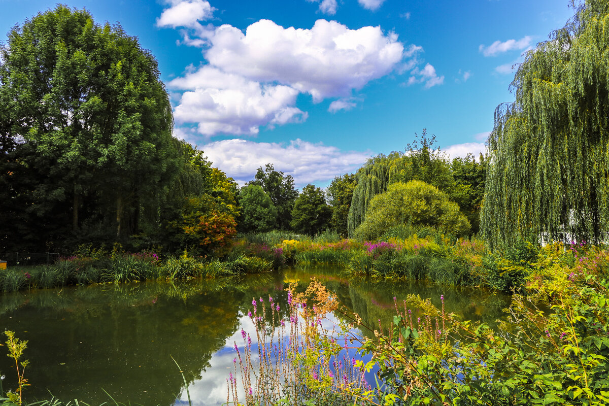 Ассорти - Waldemar F.