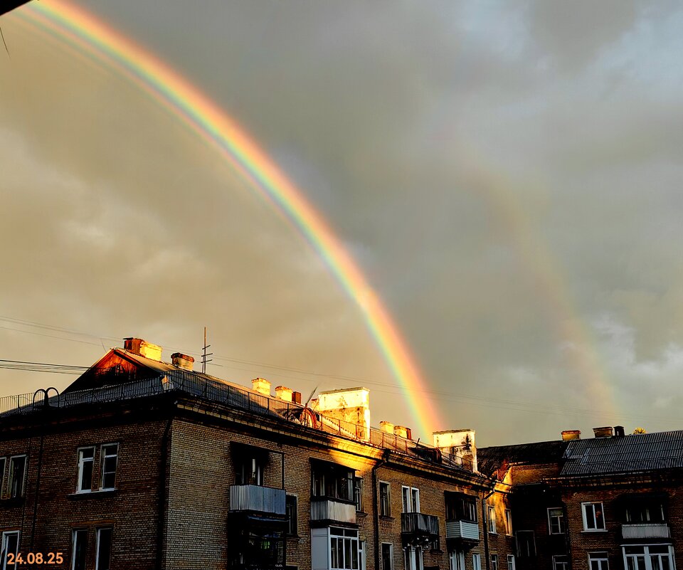 Восхитительное зрелище! - Светлана 13.06. Восхитительное зрелище! - Светлана 13.06.