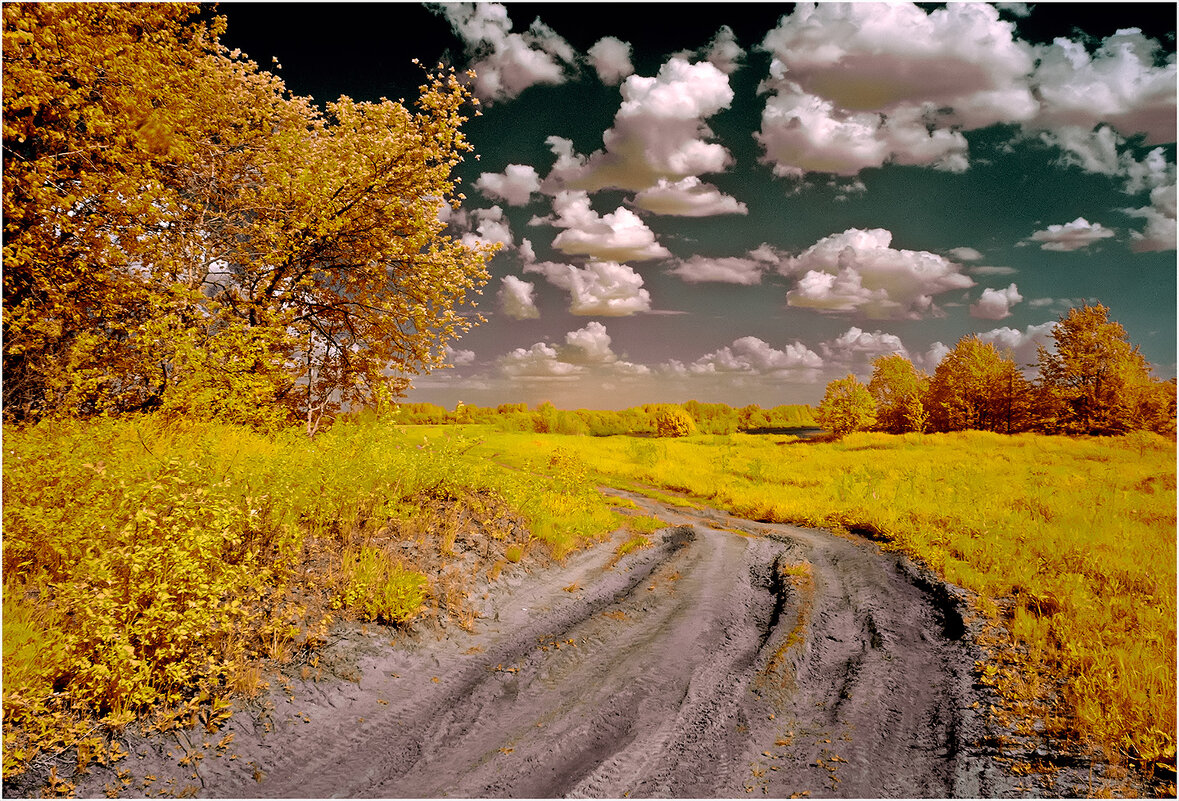 Солнечный день мая ( Инфракрасная фотография. Фильтр IR 630nm ) - Валентин Котляров