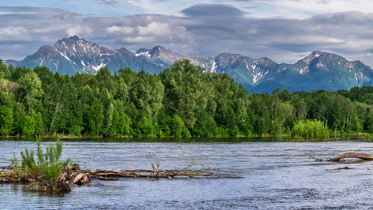 ... - Жора Житников