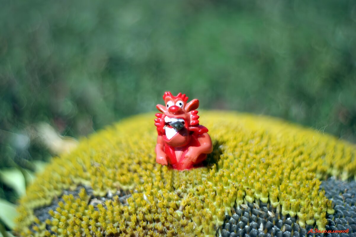 О вредителях урожая... :-) - Андрей Заломленков