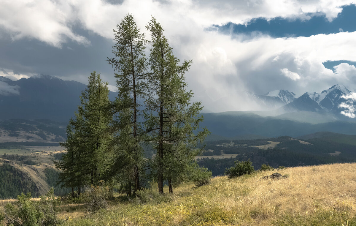 Снеговая туча - Марина Фомина.