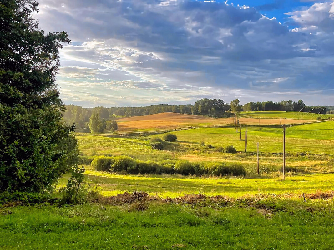 Summer 2025 9 - Arturs Ancans