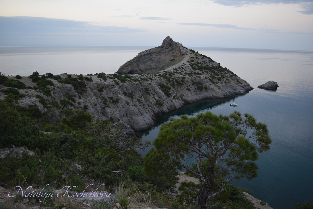 Природа Крыма - Amazing Cosmea