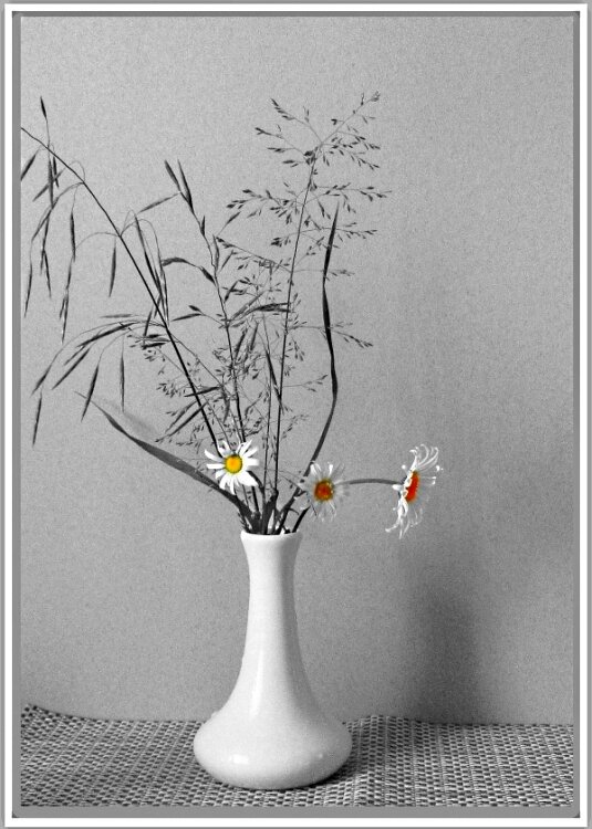 Просто    ромашки... - Галина Кузьмина