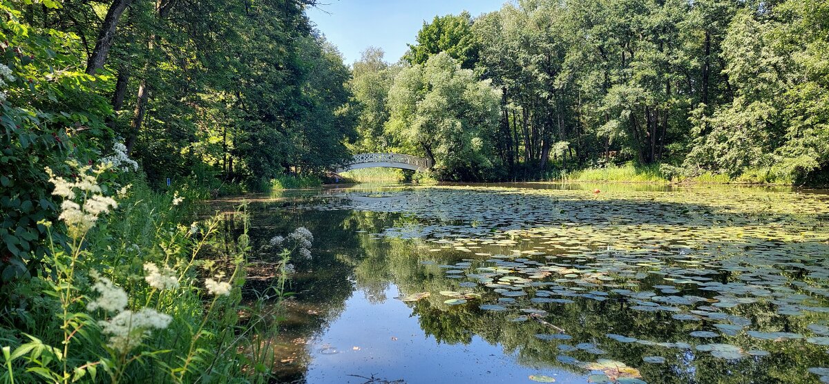 Остафьево - ИРЭН@ . Остафьево - ИРЭН@ .