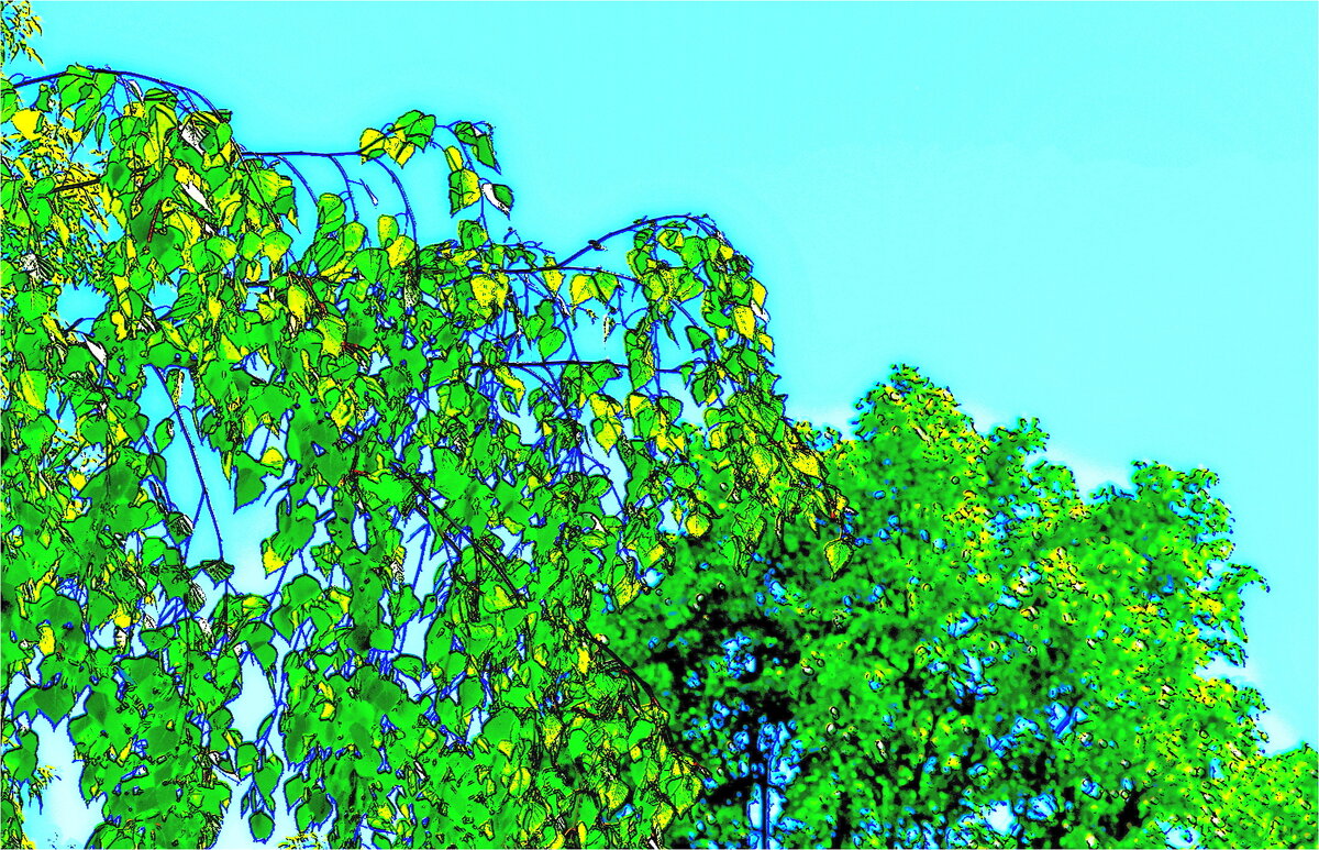 ЭТЮД - Юрий Владимирович 34