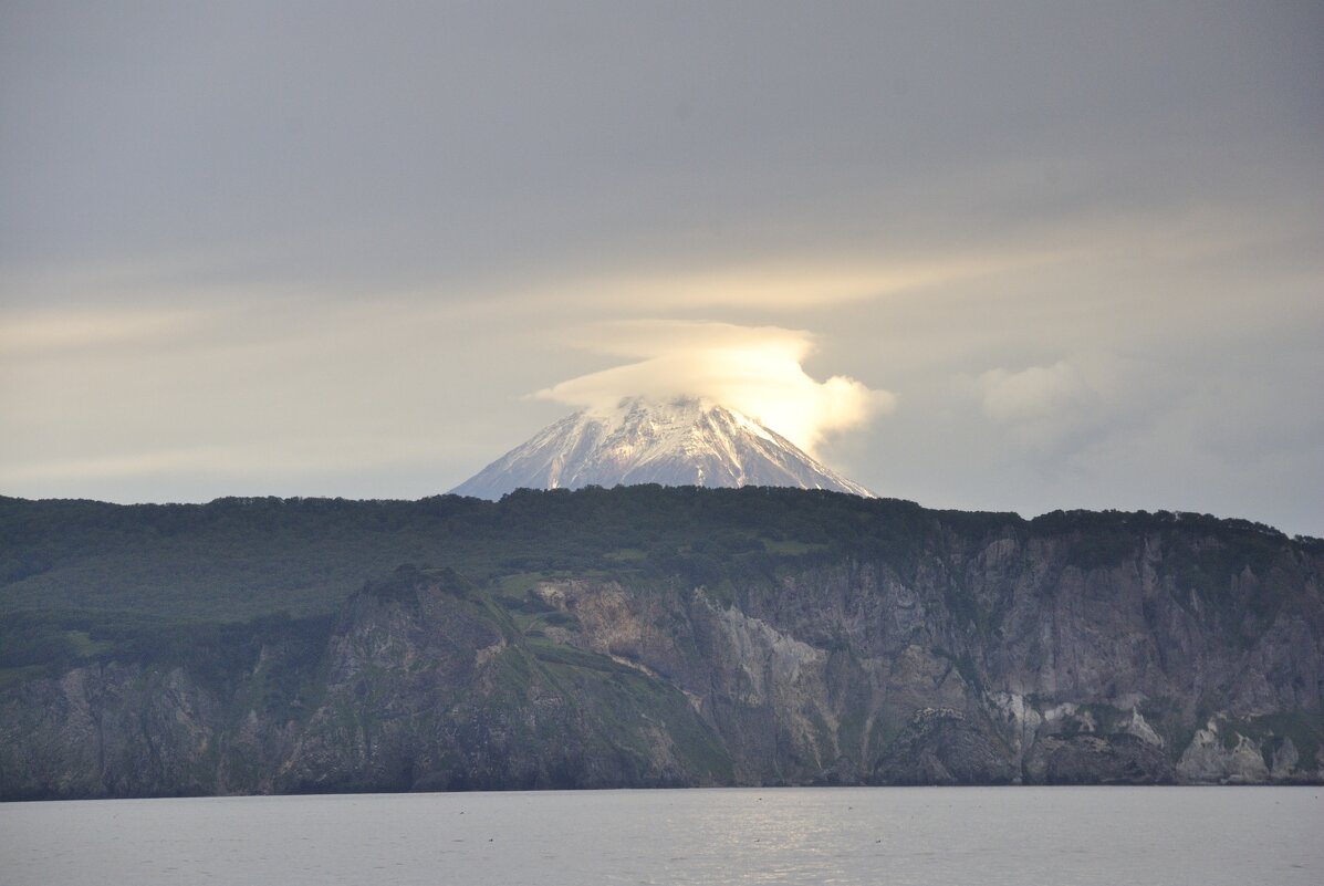 *** - Марина Виноградова