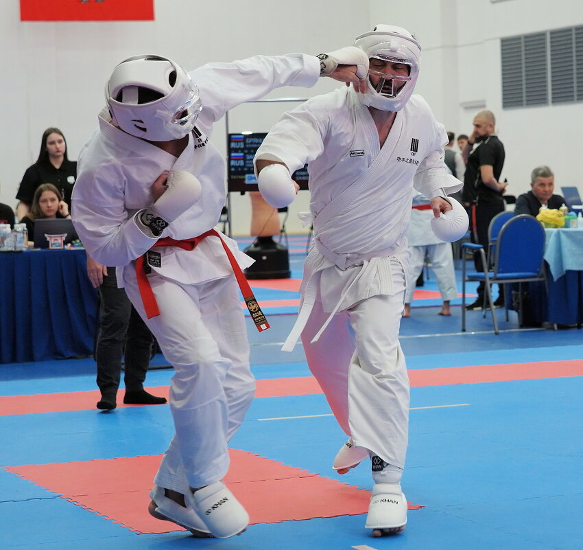 Поединок - Евгений Седов