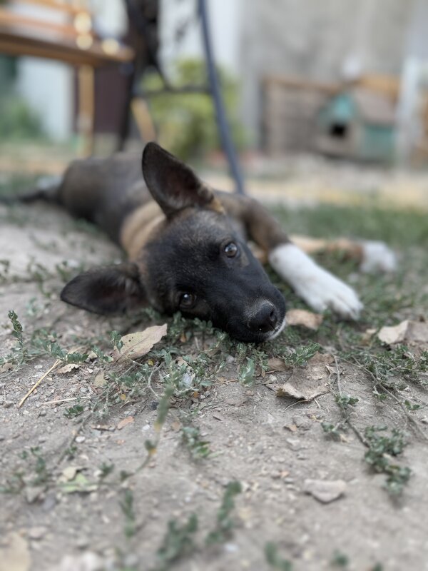 Жуля - Валентина .