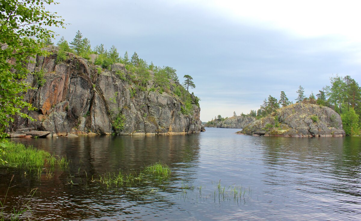 Сосновые дебри - Владимир Соколов (svladmir)